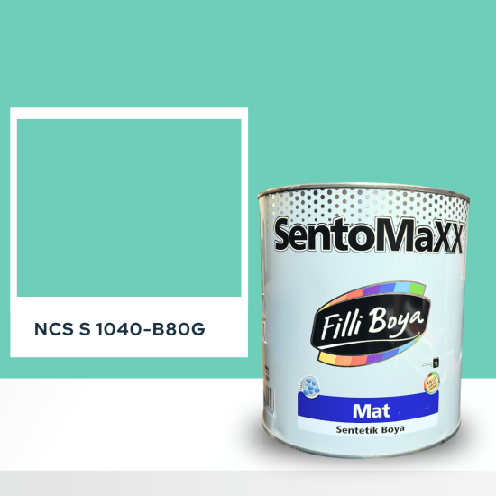 Filli Boya Sentomaxx Boya NCS S 1040-B80G Filli Boya Sentomaxx Boya NCS S 1040-B80G