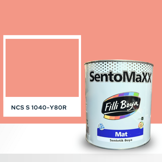 Filli Boya Sentomaxx Boya NCS S 1040-Y80R Filli Boya Sentomaxx Boya NCS S 1040-Y80R