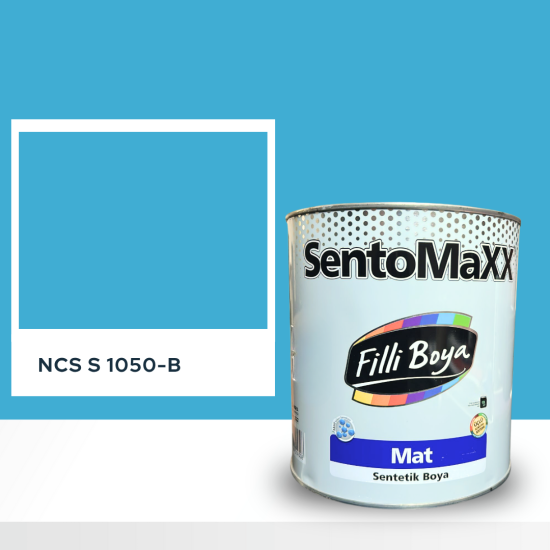 Filli Boya Sentomaxx Boya NCS S 1050-B Filli Boya Sentomaxx Boya NCS S 1050-B