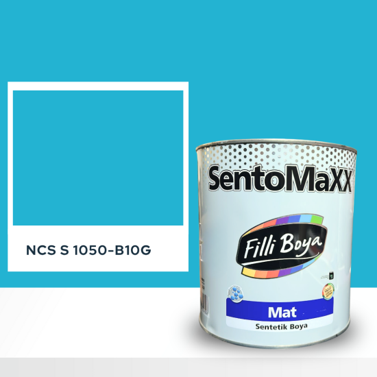 Filli Boya Sentomaxx Boya NCS S 1050-B10G Filli Boya Sentomaxx Boya NCS S 1050-B10G