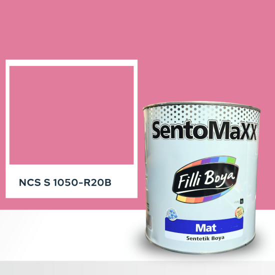 Filli Boya Sentomaxx Boya NCS S 1050-R20B Filli Boya Sentomaxx Boya NCS S 1050-R20B