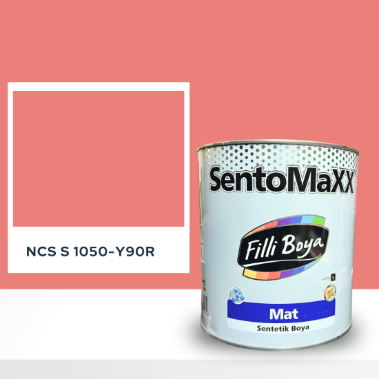 Filli Boya Sentomaxx Boya NCS S 1050-Y90R Filli Boya Sentomaxx Boya NCS S 1050-Y90R