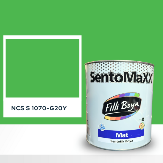 Filli Boya Sentomaxx Boya NCS S 1070-G20Y Filli Boya Sentomaxx Boya NCS S 1070-G20Y