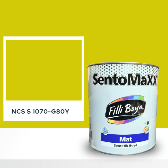Filli Boya Sentomaxx Boya NCS S 1070-G80Y Filli Boya Sentomaxx Boya NCS S 1070-G80Y