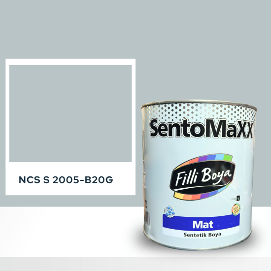 Filli Boya Sentomaxx Boya NCS S 2005-B20G Filli Boya Sentomaxx Boya NCS S 2005-B20G