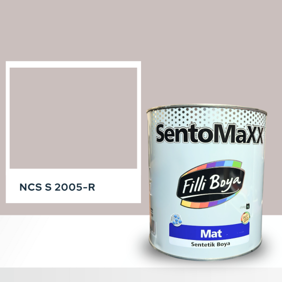 Filli Boya Sentomaxx Boya NCS S 2005-R Filli Boya Sentomaxx Boya NCS S 2005-R