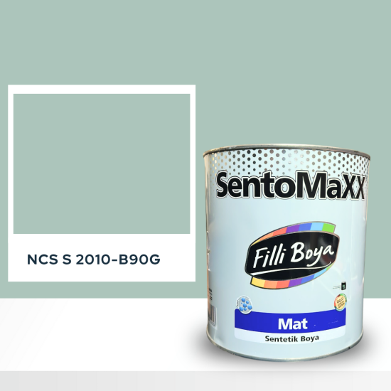 Filli Boya Sentomaxx Boya NCS S 2010-B90G Filli Boya Sentomaxx Boya NCS S 2010-B90G