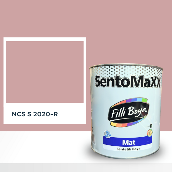 Filli Boya Sentomaxx Boya NCS S 2020-R Filli Boya Sentomaxx Boya NCS S 2020-R