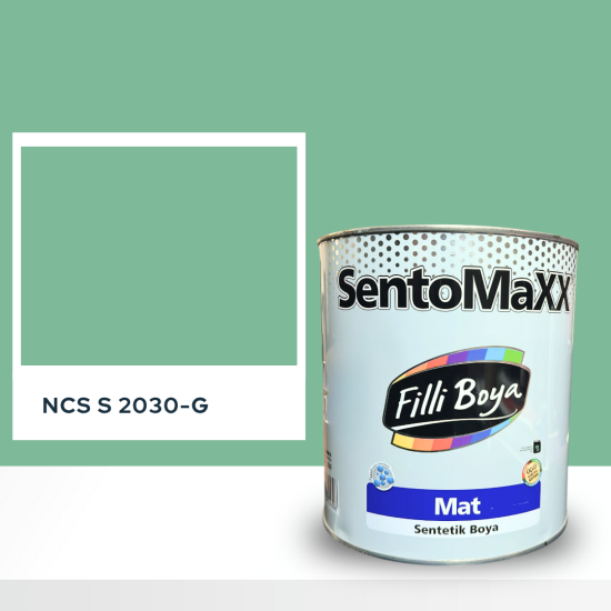 Filli Boya Sentomaxx Boya NCS S 2030-G Filli Boya Sentomaxx Boya NCS S 2030-G