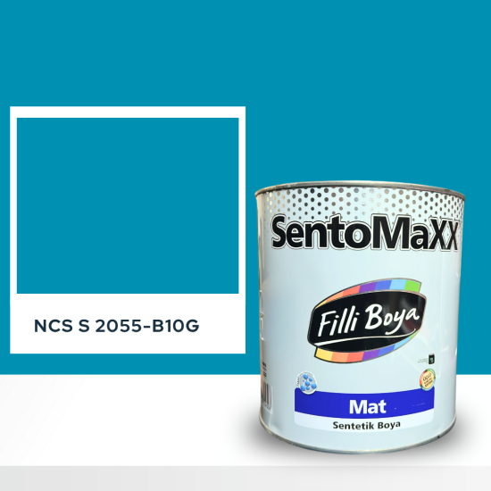Filli Boya Sentomaxx Boya NCS S 2055-B10G Filli Boya Sentomaxx Boya NCS S 2055-B10G