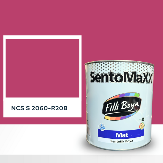 Filli Boya Sentomaxx Boya NCS S 2060-R20B Filli Boya Sentomaxx Boya NCS S 2060-R20B