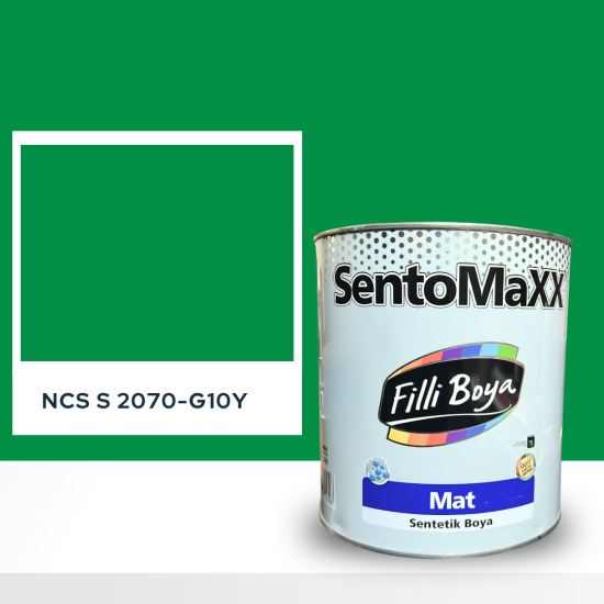 Filli Boya Sentomaxx Boya NCS S 2070-G10Y Filli Boya Sentomaxx Boya NCS S 2070-G10Y