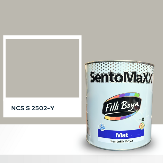 Filli Boya Sentomaxx Boya NCS S 2502-Y Filli Boya Sentomaxx Boya NCS S 2502-Y