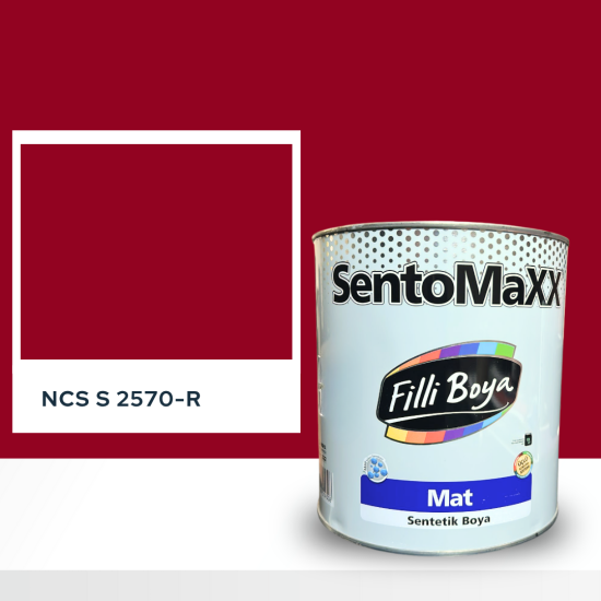 Filli Boya Sentomaxx Boya NCS S 2570-R Filli Boya Sentomaxx Boya NCS S 2570-R