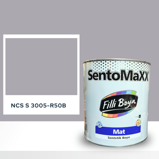 Filli Boya Sentomaxx Boya NCS S 3005-R50B Filli Boya Sentomaxx Boya NCS S 3005-R50B