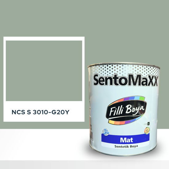 Filli Boya Sentomaxx Boya NCS S 3010-G20Y Filli Boya Sentomaxx Boya NCS S 3010-G20Y