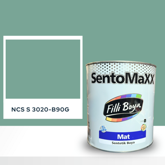 Filli Boya Sentomaxx Boya NCS S 3020-B90G Filli Boya Sentomaxx Boya NCS S 3020-B90G