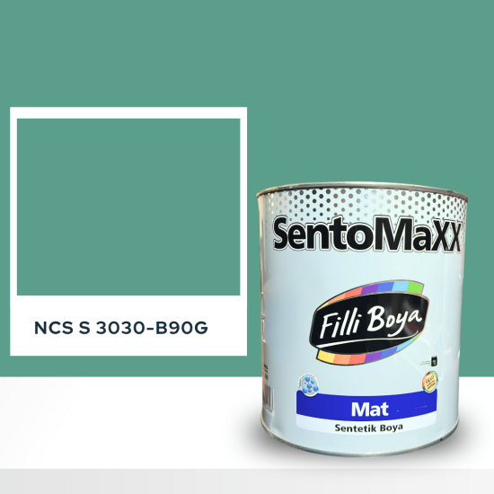 Filli Boya Sentomaxx Boya NCS S 3030-B90G Filli Boya Sentomaxx Boya NCS S 3030-B90G