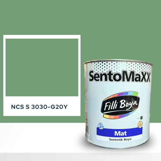 Filli Boya Sentomaxx Boya NCS S 3030-G20Y Filli Boya Sentomaxx Boya NCS S 3030-G20Y