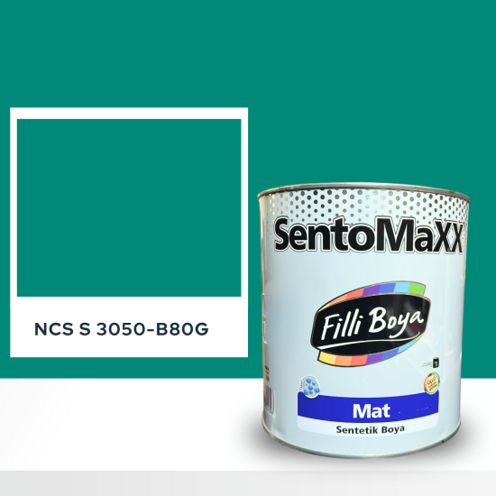 Filli Boya Sentomaxx Boya NCS S 3050-B80G Filli Boya Sentomaxx Boya NCS S 3050-B80G
