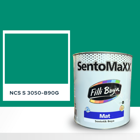 Filli Boya Sentomaxx Boya NCS S 3050-B90G Filli Boya Sentomaxx Boya NCS S 3050-B90G