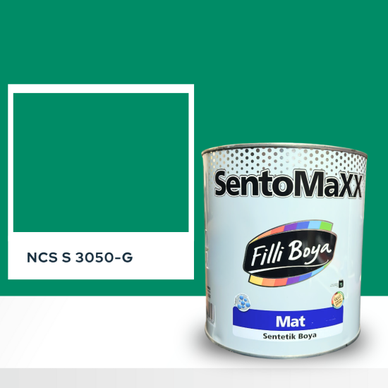 Filli Boya Sentomaxx Boya NCS S 3050-G Filli Boya Sentomaxx Boya NCS S 3050-G