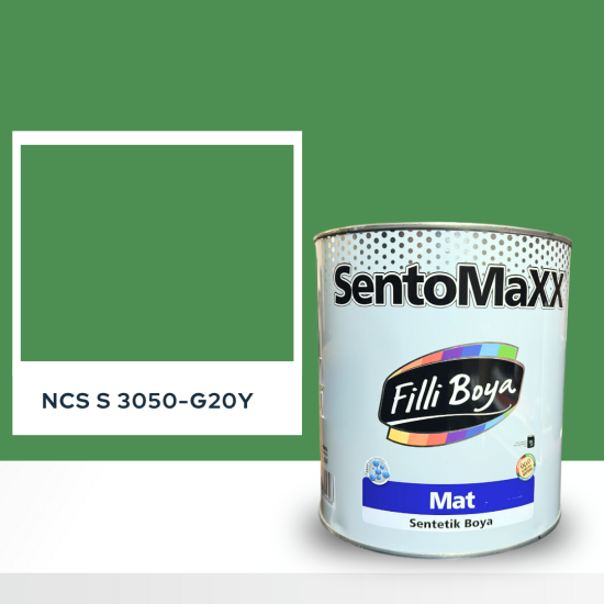 Filli Boya Sentomaxx Boya NCS S 3050-G20Y Filli Boya Sentomaxx Boya NCS S 3050-G20Y