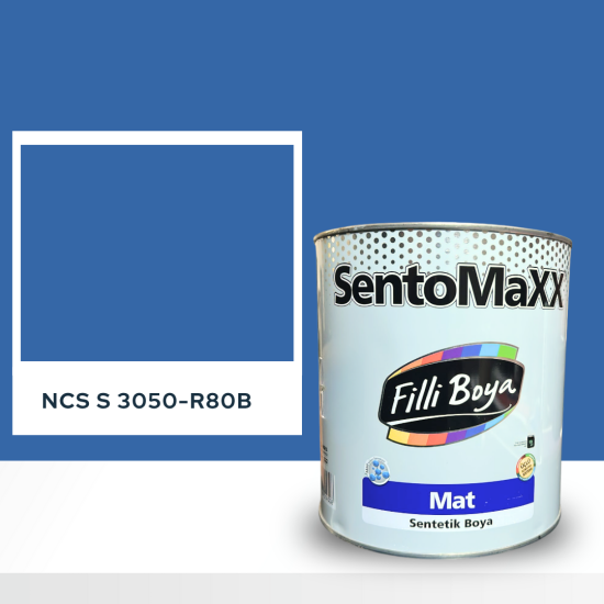 Filli Boya Sentomaxx Boya NCS S 3050-R80B Filli Boya Sentomaxx Boya NCS S 3050-R80B