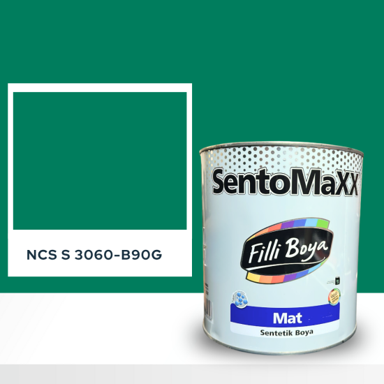 Filli Boya Sentomaxx Boya NCS S 3060-B90G Filli Boya Sentomaxx Boya NCS S 3060-B90G