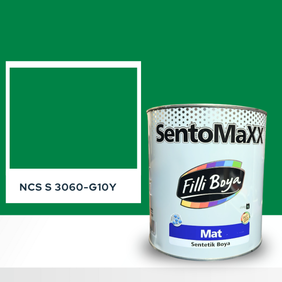 Filli Boya Sentomaxx Boya NCS S 3060-G10Y Filli Boya Sentomaxx Boya NCS S 3060-G10Y