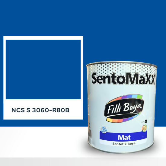 Filli Boya Sentomaxx Boya NCS S 3060-R80B Filli Boya Sentomaxx Boya NCS S 3060-R80B