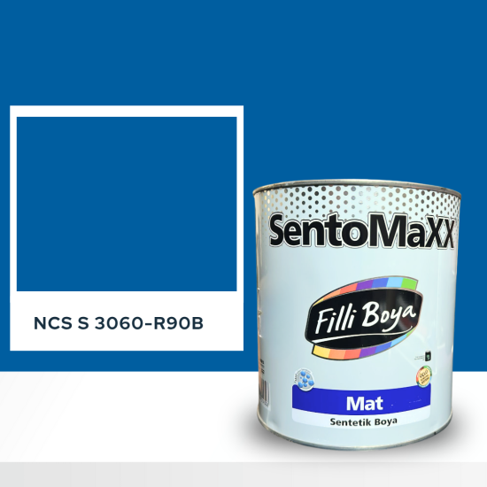 Filli Boya Sentomaxx Boya NCS S 3060-R90B Filli Boya Sentomaxx Boya NCS S 3060-R90B