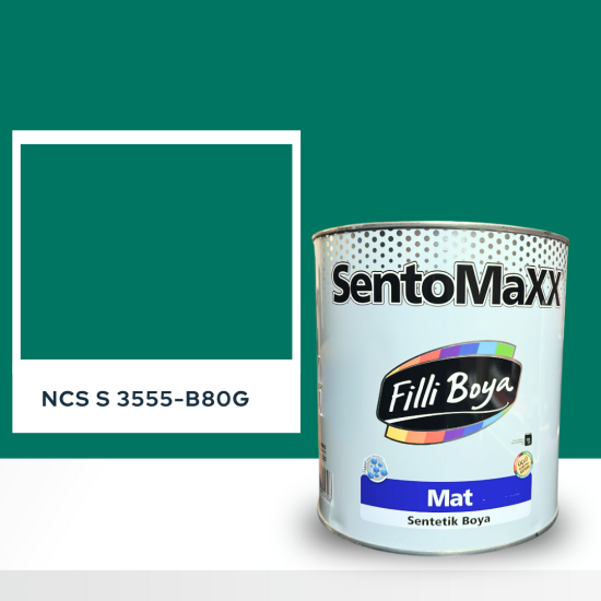 Filli Boya Sentomaxx Boya NCS S 3555-B80G Filli Boya Sentomaxx Boya NCS S 3555-B80G