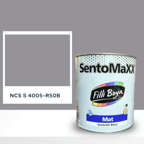 Filli Boya Sentomaxx Boya NCS S 4005-R50B Filli Boya Sentomaxx Boya NCS S 4005-R50B