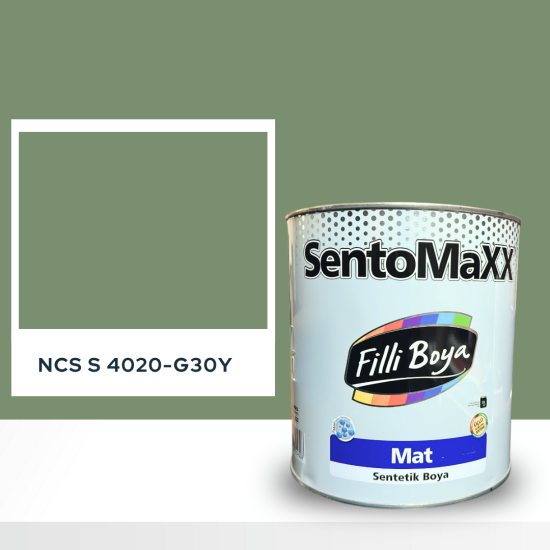 Filli Boya Sentomaxx Boya NCS S 4020-G30Y Filli Boya Sentomaxx Boya NCS S 4020-G30Y