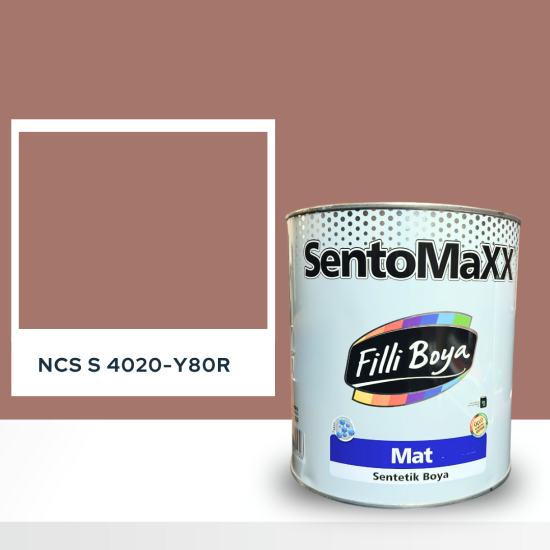 Filli Boya Sentomaxx Boya NCS S 4020-Y80R Filli Boya Sentomaxx Boya NCS S 4020-Y80R