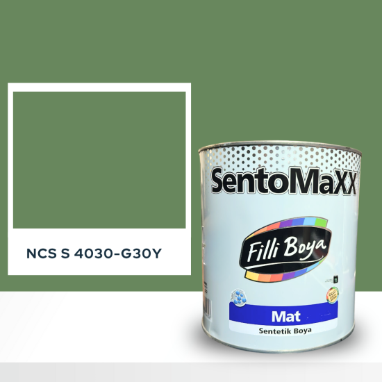 Filli Boya Sentomaxx Boya NCS S 4030-G30Y Filli Boya Sentomaxx Boya NCS S 4030-G30Y