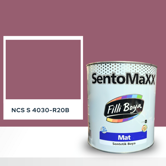 Filli Boya Sentomaxx Boya NCS S 4030-R20B Filli Boya Sentomaxx Boya NCS S 4030-R20B
