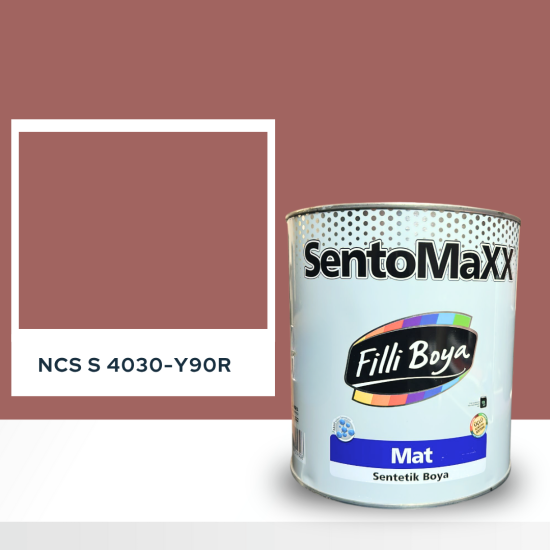 Filli Boya Sentomaxx Boya NCS S 4030-Y90R Filli Boya Sentomaxx Boya NCS S 4030-Y90R