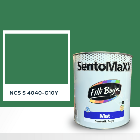 Filli Boya Sentomaxx Boya NCS S 4040-G10Y