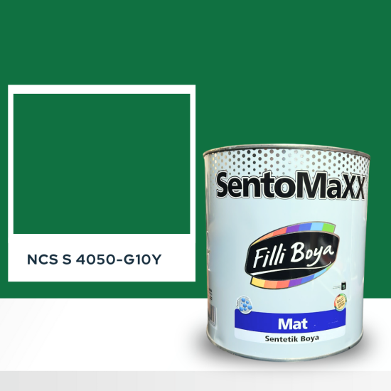 Filli Boya Sentomaxx Boya NCS S 4050-G10Y Filli Boya Sentomaxx Boya NCS S 4050-G10Y