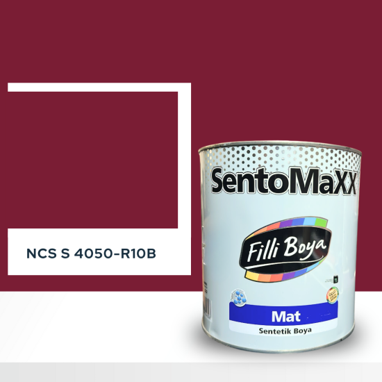 Filli Boya Sentomaxx Boya NCS S 4050-R10B Filli Boya Sentomaxx Boya NCS S 4050-R10B
