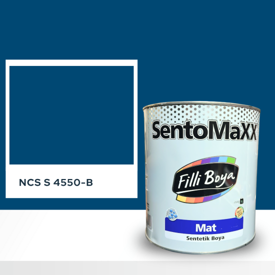 Filli Boya Sentomaxx Boya NCS S 4550-B Filli Boya Sentomaxx Boya NCS S 4550-B