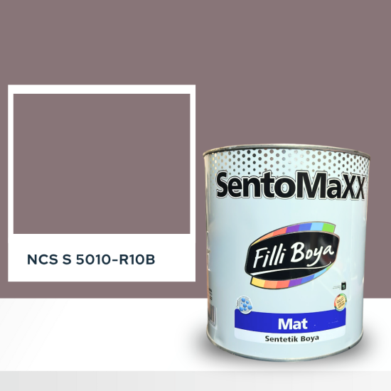 Filli Boya Sentomaxx Boya NCS S 5010-R10B Filli Boya Sentomaxx Boya NCS S 5010-R10B