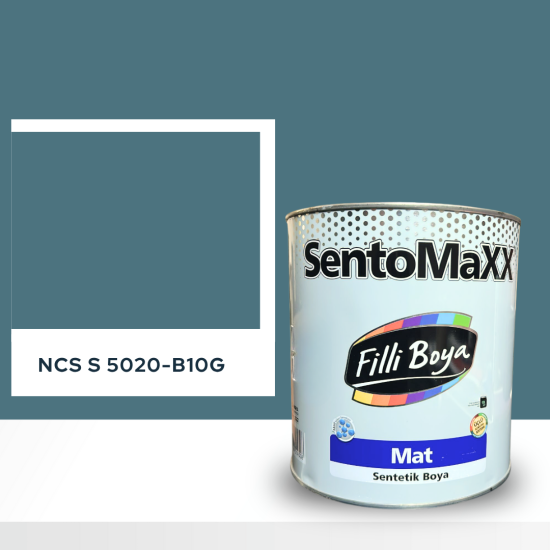 Filli Boya Sentomaxx Boya NCS S 5020-B10G Filli Boya Sentomaxx Boya NCS S 5020-B10G