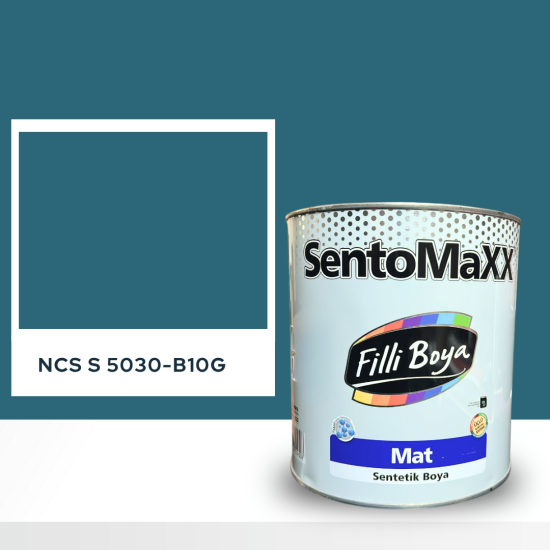 Filli Boya Sentomaxx Boya NCS S 5030-B10G Filli Boya Sentomaxx Boya NCS S 5030-B10G