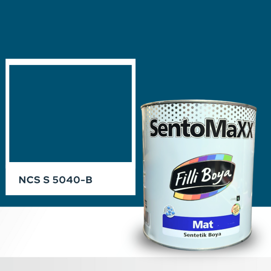 Filli Boya Sentomaxx Boya NCS S 5040-B Filli Boya Sentomaxx Boya NCS S 5040-B