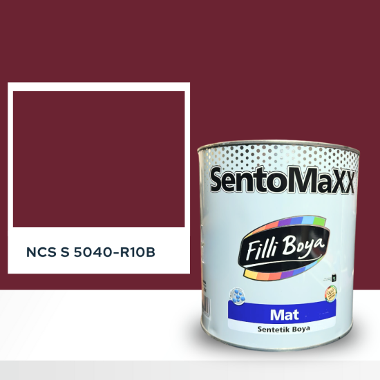 Filli Boya Sentomaxx Boya NCS S 5040-R10B Filli Boya Sentomaxx Boya NCS S 5040-R10B