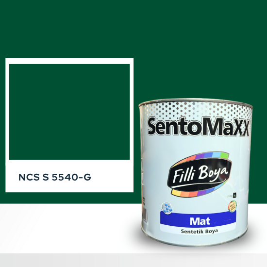 Filli Boya Sentomaxx Boya NCS S 5540-G Filli Boya Sentomaxx Boya NCS S 5540-G