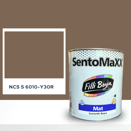 Filli Boya Sentomaxx Boya NCS S 6010-Y30R Filli Boya Sentomaxx Boya NCS S 6010-Y30R